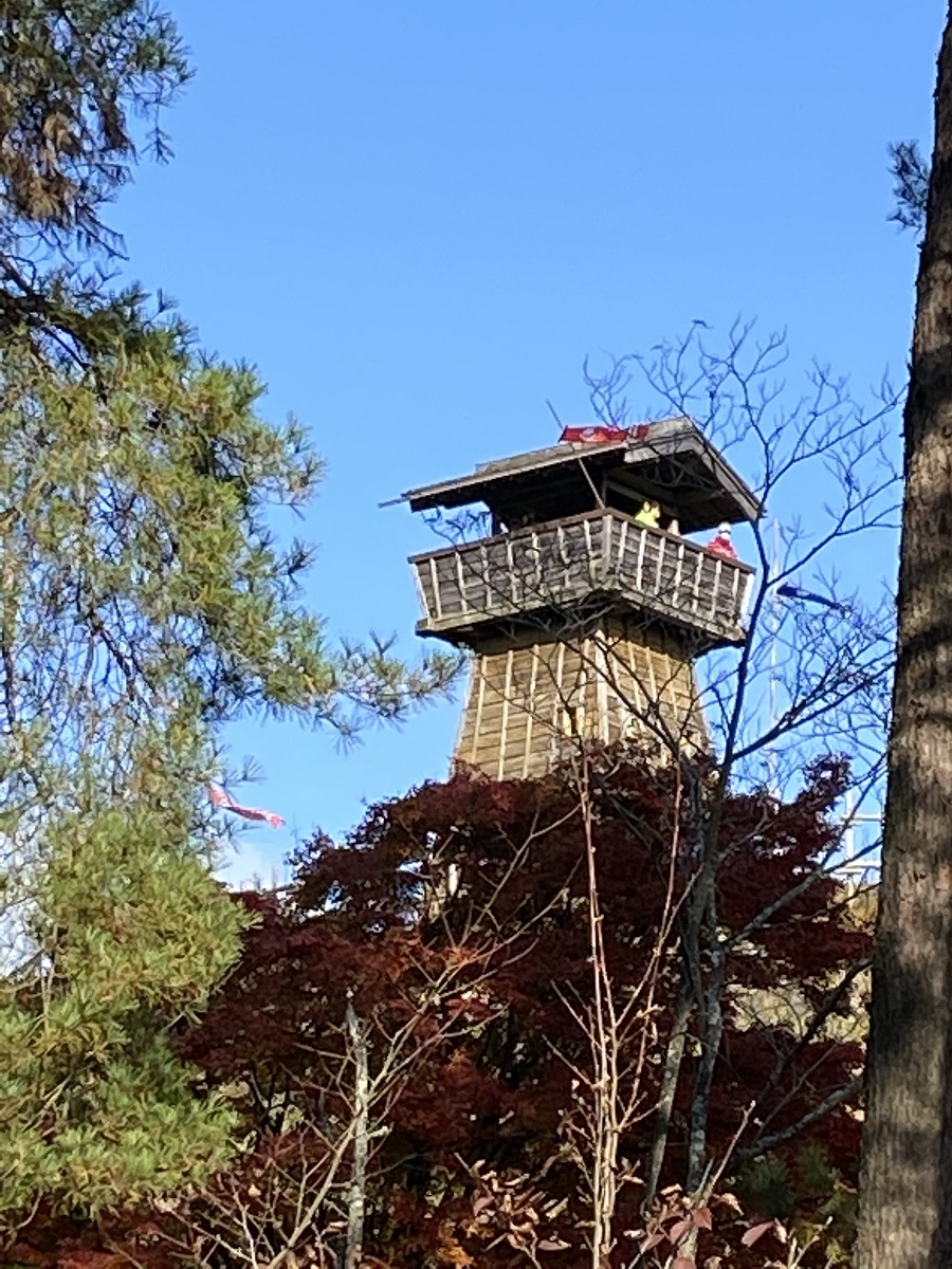 タイム スリップ する 夢